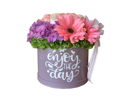 Enjoy the Day