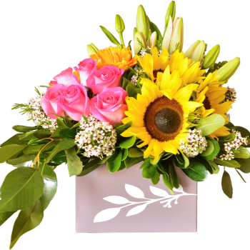Caja Floral